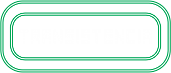 TRANSISTENCIA